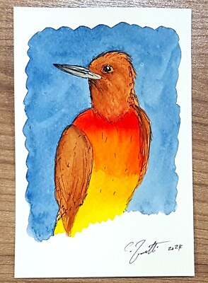 #ad CHRIS ZANETTI Original Watercolor Painting Bird Wildlife Art 6quot;X4quot; Signed COA