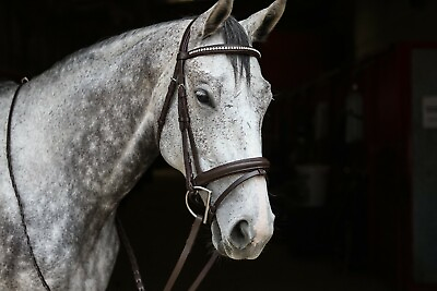 Elegant and simple leather dressage bridle with laced reins $69.00