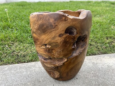 #ad Teak Root 11.8#x27;#x27; Tall Shallow Vase Natural Wooden Decorative Home Decor Ornament