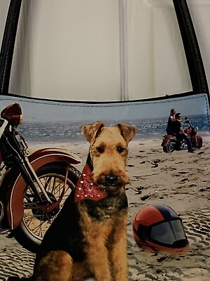 #ad Biker Dog Beach Tote Handbag 11x9x3”