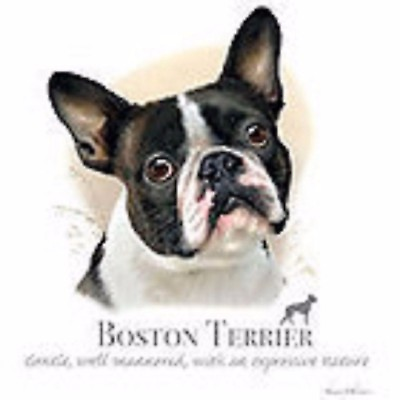 #ad Boston Terrier Robinson Hood Sweatshirt Pick Your Size Medium 5 X Large