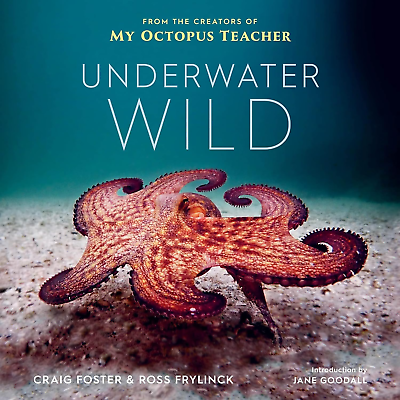 #ad Underwater Wild: My Octopus Teacher#x27;S Extraordinary World NEW