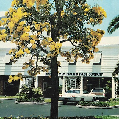 Postcard FL Bank of Palm Beach and Trust Company Autos Flowers Drive in Window $5.09