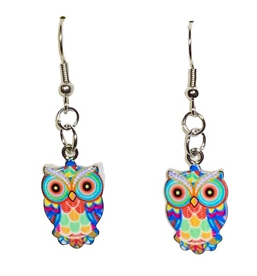 #ad Silver Colorful Owl 🦉 Drop Dangle Earrings