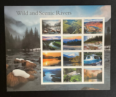 #ad 2019 Wild And Scenic Rivers Sheet of 12 Forever Postage Stamps Scott 5381