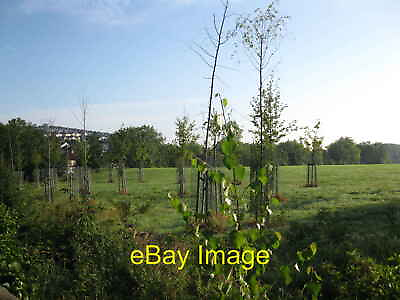 #ad Photo 6x4 Young trees in the grounds of South Bristol Sports Centre Filwo c2011