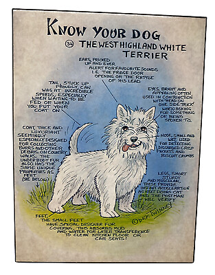 #ad Vintage Dick Twinney Wall Plaque Know Your Dog The West Highland White Terrier
