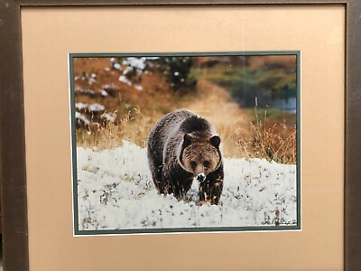 #ad Mark A. Schuster Wild Animal Bear Photography Limited Edition Signed Framed