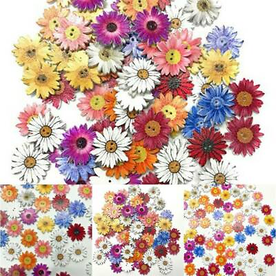 #ad 50Pcs Lots Wooden Buttons Sewing 2 holes Scrapbooking Button Crafts Flower Shape