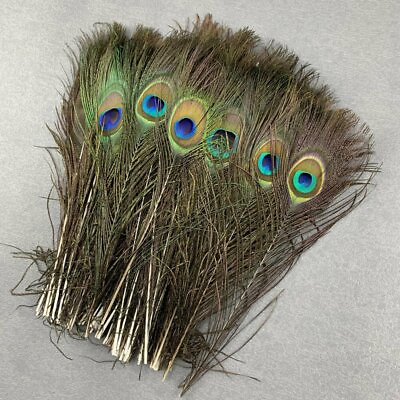 #ad 10 100Pcs Natural Peacock Feathers Eyes 25 45CM 10 18Inch DIY Wedding Home Plume