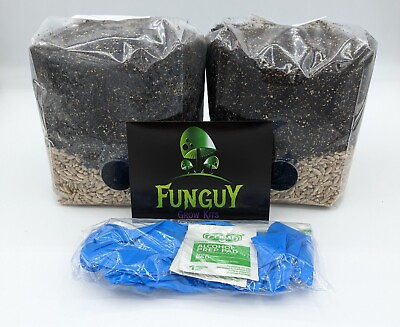 #ad 2 PACK All in One Organic Easy Mushroom Grow Growing Bag Kit Grain Substrate