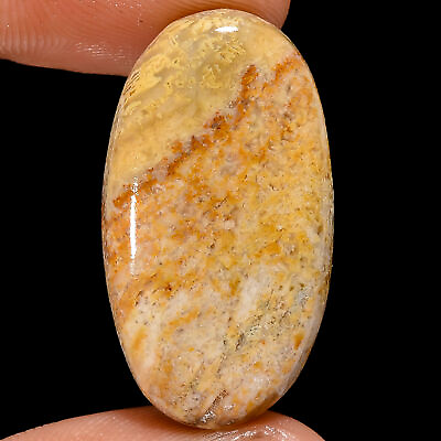 #ad Natural Fossil Coral Oval Shape Cabochon Loose Gemstone 25 Ct 30X16X6 mm A 20789