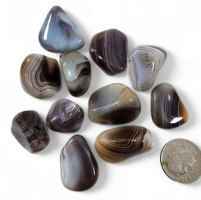 #ad Botswana Agate Polished Stones 56.6 grams.