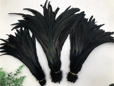 #ad Wholesale 10 50 100 500pcs Black rooster tail feathers 10 18 inches 25 45cm