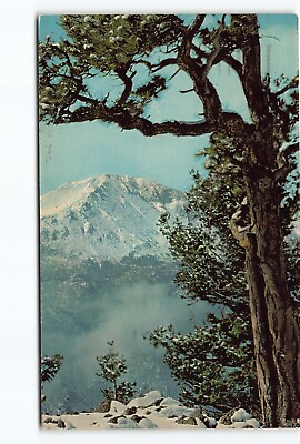 #ad Pikes Peak In Winter Colorado CO Chrome Postcard Vtg Posted 1966
