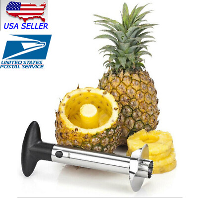 #ad New Easy Kitchen Tool Fruit Pineapple Corer Slicer Cutter Peeler Stainless Steel