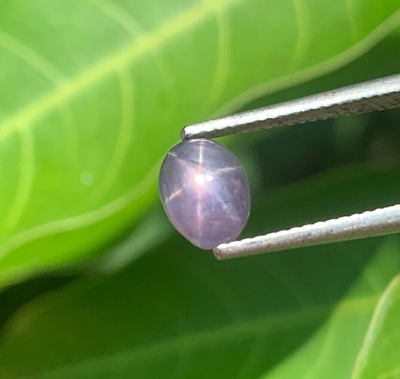 #ad Purplish Black Star Sapphire 2.30ct Natural Sri Lanka Ceylon Gemstone Corundum