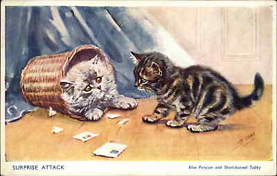 #ad M. Gear Blue Persian and Short Haired Tabby Cats Kittens Play Vintage Postcard