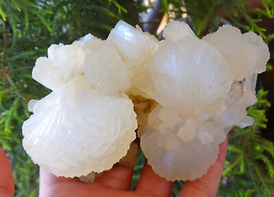 #ad Stilbite Flower Crystal Mineral Specimen G=63
