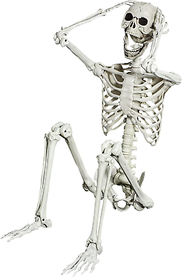 #ad Posable Halloween Skeleton Halloween Full Body Skeleton Bones with Movable Joi