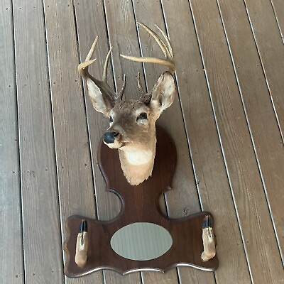 #ad Whitetail Deer 8 Point Buck Head Mount Vintage Taxidermy Hooves Rifle Rack