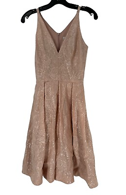 #ad Dress The Population Blush Pink Lace V Neck Sequin Dress Size Small NWOT