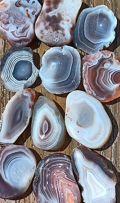 #ad Botswana agate rough slices beautiful banding bands tubes lapidary focal stone 1