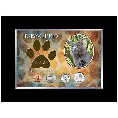 #ad NEW American Coin Treasures Rescued Year to Remember Cat 4 Coin Frame 2017