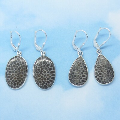 #ad Alaskan Stingray Fossil Coral Earrings Sterling Silver Leverback 241616 3rd Rock
