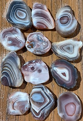 #ad Botswana agate rough slices beautiful banding bands tubes lapidary focal stone 6