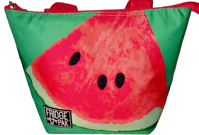 #ad 🍉Watermelon Insulated Tote Spring Break Beach Pool Lunch Bag 9 Can Cooler 🍉NWT