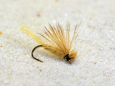 #ad 12 Flies X Caddis Dry Fly tied Mustad Signature Fly Fishing Hooks
