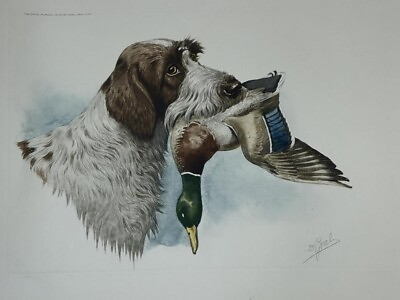 #ad Signed Boris Riab Duck Hunter Dog Lithograph