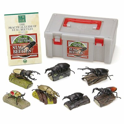 #ad New Stand figure book real figure box Stag Beetle staggutamushi