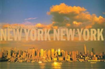 #ad New York New York: Mini Hardcover By Berenholtz Richard GOOD