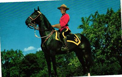 #ad The Royal Canadian Mounted Police In Canada Postcard