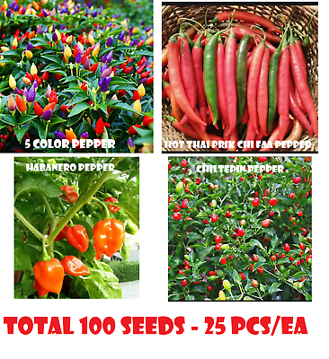 #ad 100 Pepper Seeds 5 Color Pepper Thai Prik Chi Faa Habanero Chiltepin