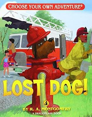 #ad Lost Dog Choose Your Own Adventure Dragonlarks Paperback GOOD