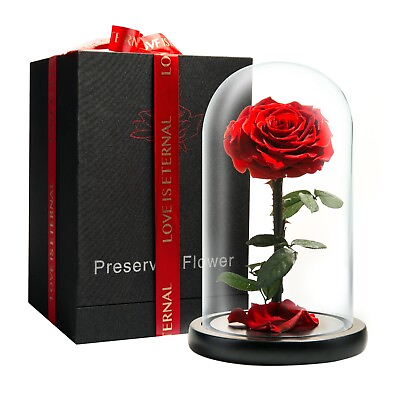 #ad Preserved Rose in Glass Dome Eternal Enchanted Forever Infinity Rose