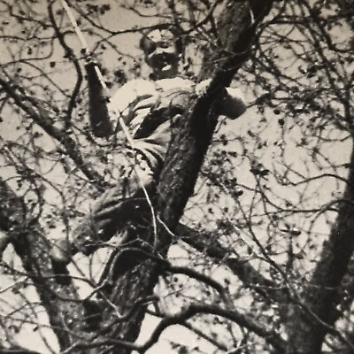 #ad Climbing Tree 1940’s So Cute Picture Photograph Old Black White
