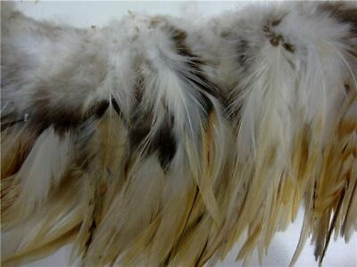 #ad Chinese Rooster Saddle Hackle Feathers Strung Chestnut Beige 5 7quot; 50 Pcs.