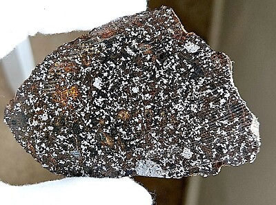 #ad Rare Meteorite NWA 15015 Mesosiderite Etched 36.6g Slice COA
