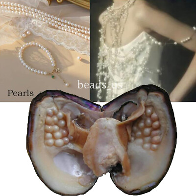 #ad Large Natural Freshwater Cultured Pearl Oyster with 5 7mm 25 Pearls Vacuum Pack