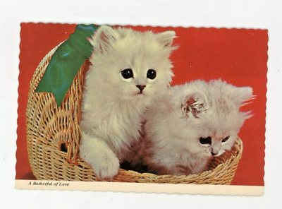 #ad Vintage Cat Postcard WHITE KITTENS BASKET OF LOVE CHROME 4X6 UNPOSTED CHROME