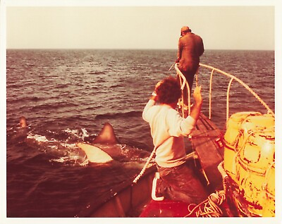 #ad Spielberg Jaws Movie Photo Robert Shaw Richard Dreyfuss 8x10 Shark *P109c