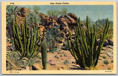 #ad Vtg Arizona AZ Pipe Organ Cactus Desert View 1930s Linen Old Postcard