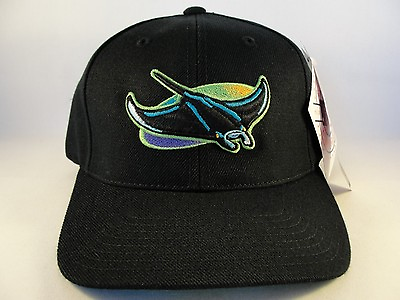 #ad MLB Tampa Bay Devil Rays Vintage Snapback Hat Cap American Needle Black