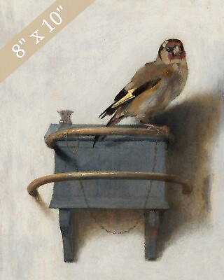 #ad The Goldfinch Carel Fabritus 1654 Painting Giclee Print 8x10 on Fine Art Paper