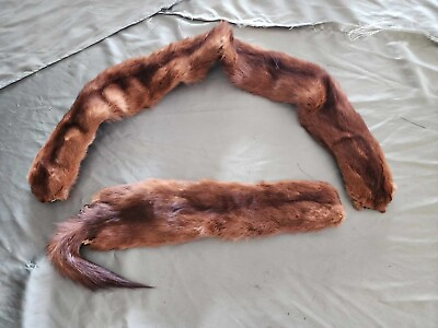 #ad Fur Pelts and Wraps