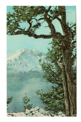 #ad Pikes Peak In Winter Colorado Vintage Postcard AF74